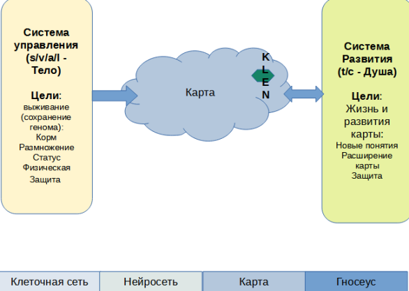 Scheme of Consciousness