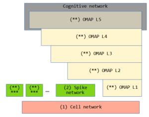 OMAP evolution.png